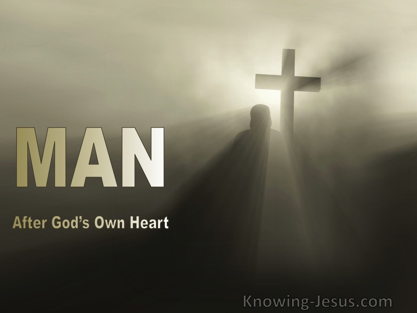 1 Samuel 13:14 The Man After God’s Own Heart (devotional)08-16.jpg
